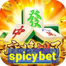 spicybet-4.com