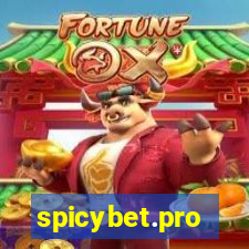 spicybet.pro